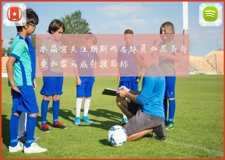水晶宫关注朗斯两名球员加尼乌与桑加雷或成引援目标